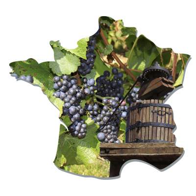 French Wine Industry In Crisis