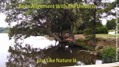 How to be in alignment with the universe video